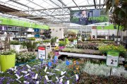 bloemen en planten vvbvanbree     1066